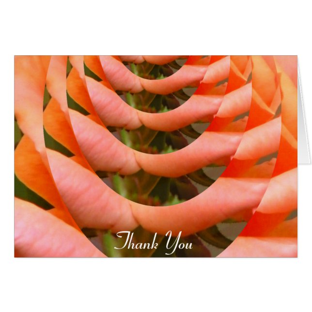 Ruta del amor_ (Anverso (Horizontal))