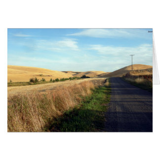 Ruta del campo
