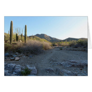 Ruta del Cañón Rey I