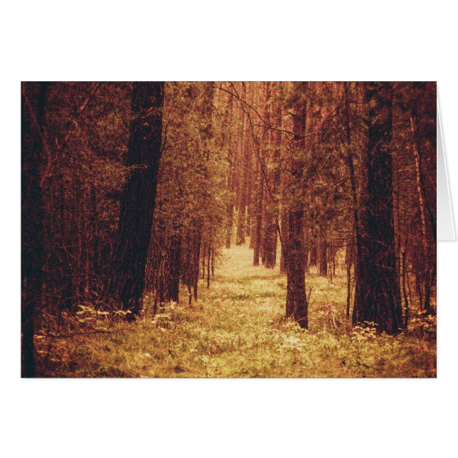 Ruta forestal... (Anverso (Horizontal))