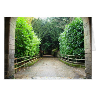 Ruta verde