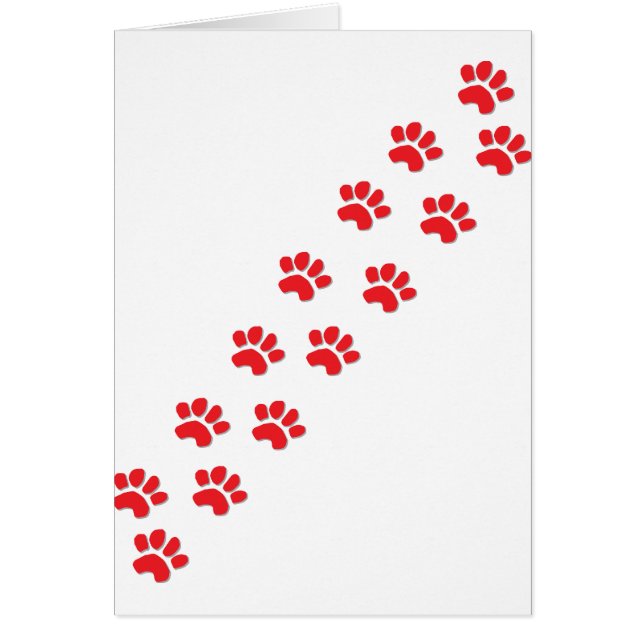 Rutas de gato Kitty (Frente)