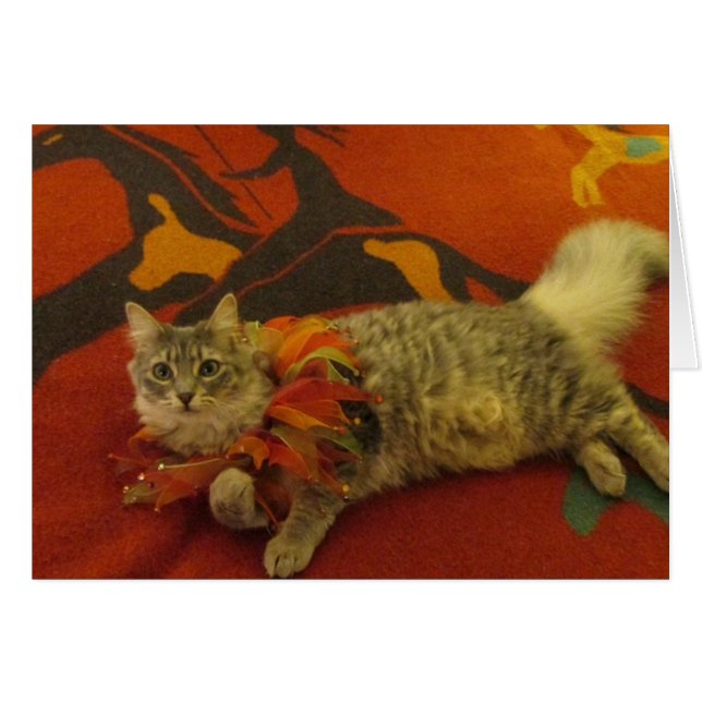 Ruthie el gato (Anverso (Horizontal))