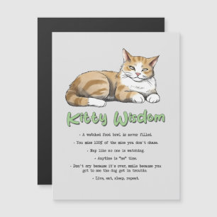 Sabiduría Kitty - Gato gracioso que gobierna con u