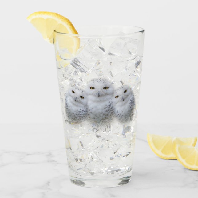 Sabiduría soñadora de la familia de las lechuzas n (Anverso (hielo))