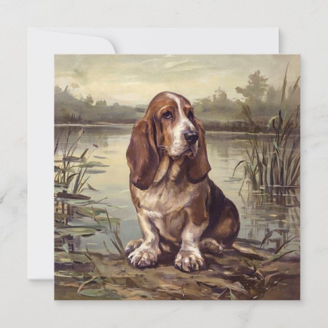 Sabueso Basset (Anverso)