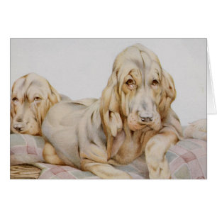 Sabuesos antiguos y lindos, cachorros de EJ Detmol