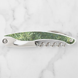 Sacacorchos Bosque de Pino