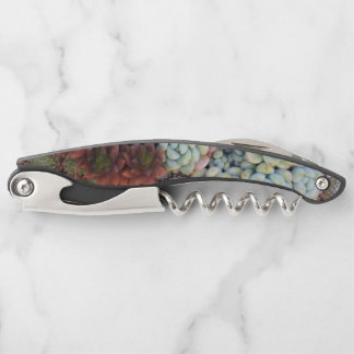 Sacacorchos de la galaxia de Succulen