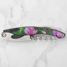 sacacorchos Rubí-throated del colibrí