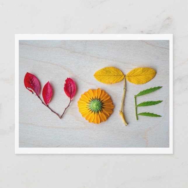 Sacar la postal de VOTACIÓN (Anverso)