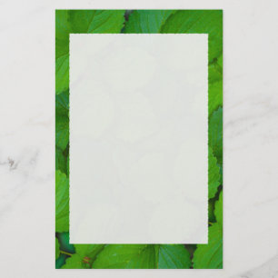 Sacro Basil Hojas de la Moneda Verde de Tulsi