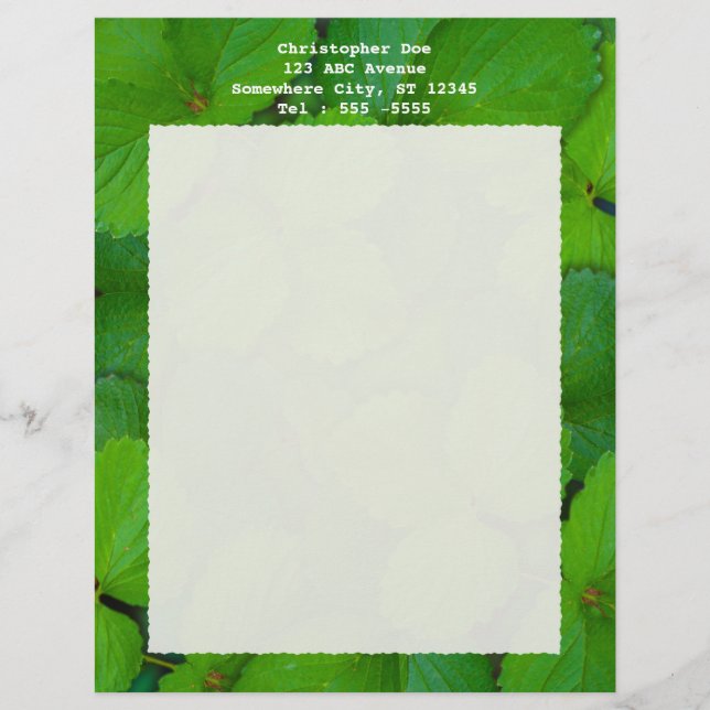 Sacro Basil Hojas de la Moneda Verde de Tulsi (Anverso)