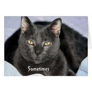 Sacudida divertida mi tarjeta principal