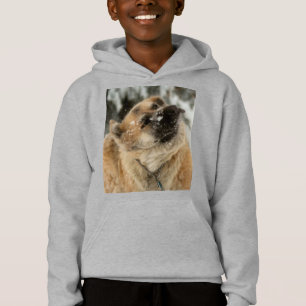 Sacudida GSD