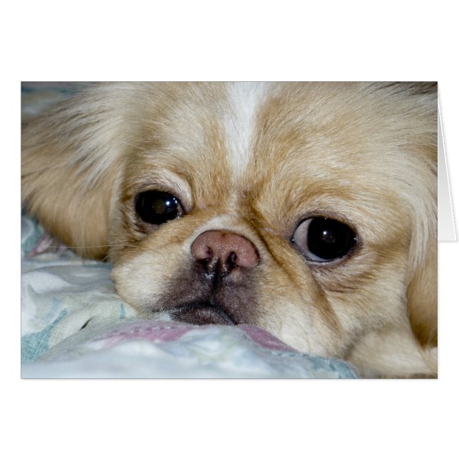 Sad Face (Anverso (Horizontal))