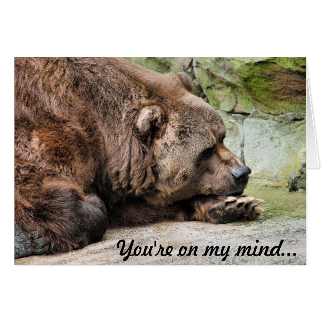 Sad Grizzly Bear (Anverso (Horizontal))