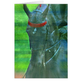 Saddlebred estadounidense