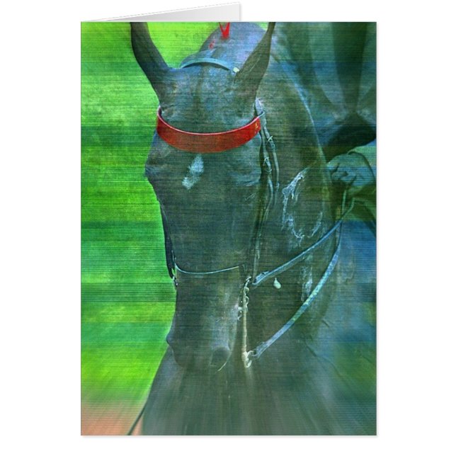 Saddlebred estadounidense (Frente)