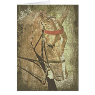 Saddlebred estadounidense