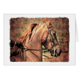 Saddlebred estadounidense