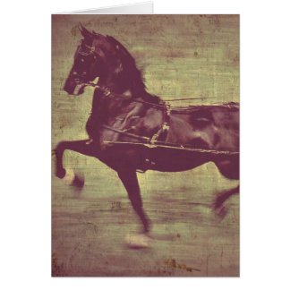 Saddlebred Song