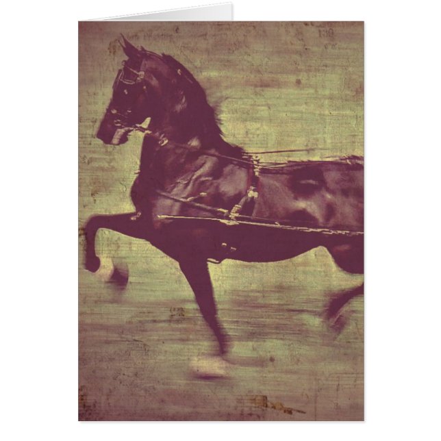 Saddlebred Song (Frente)