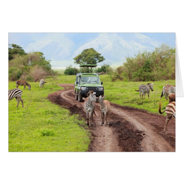 Safari (Anverso (Horizontal))