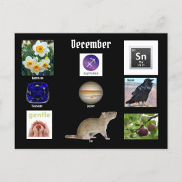 Sagitario Mes de Cumpleaños de Diciembre TARJETA P