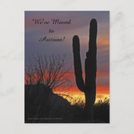 Saguaro al Atardecer, Anuncio de Nueva Dirección
