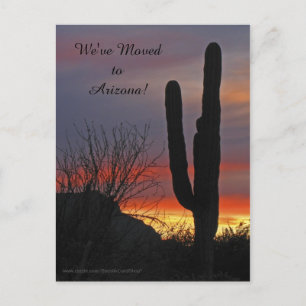 Saguaro al Atardecer, Anuncio de Nueva Dirección
