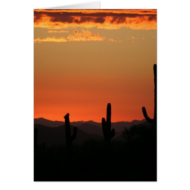 Saguaro Cactus al atardecer (Frente)