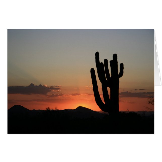 Saguaro Cactus al atardecer (Anverso (Horizontal))