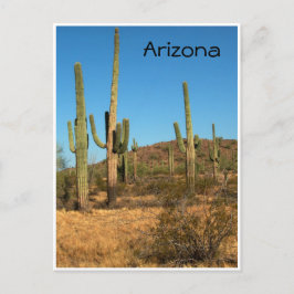 Saguaro cactus, Arizona - postal