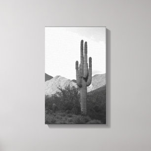 Saguaro Cactus Desert Sonoran B&W Foto de arte imp