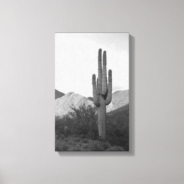 Saguaro Cactus Desert Sonoran B&W Foto de arte imp (Anverso)