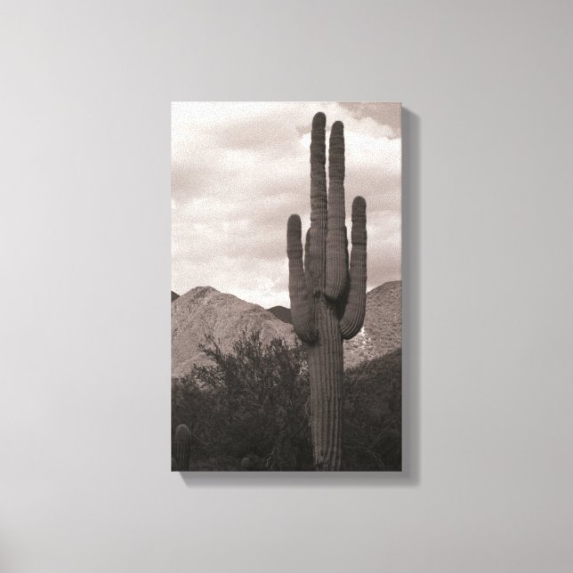 Saguaro Cactus Desert Sonoran B&W Foto de arte imp (Anverso)