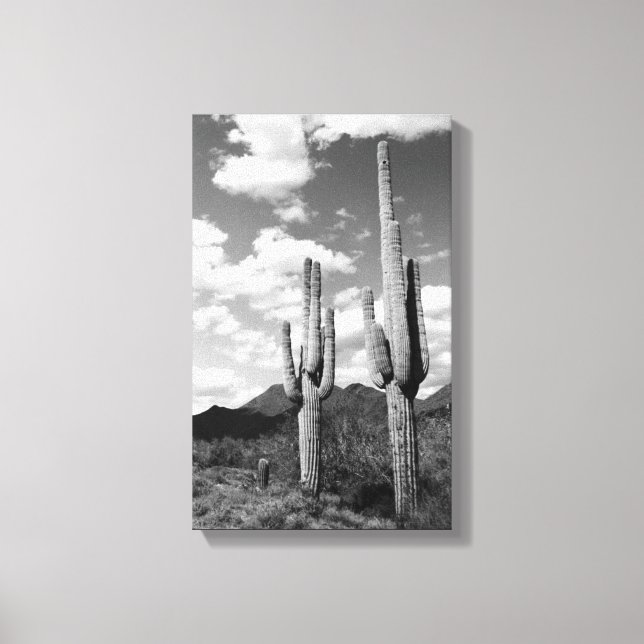 Saguaro Cactus Desert Sonoran B&W Foto de arte imp (Anverso)