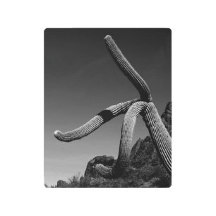 Saguaro Cactus: Fotografía de arte en blanco y neg