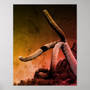 Saguaro Cactus: Fotografía de arte en estilo rústi