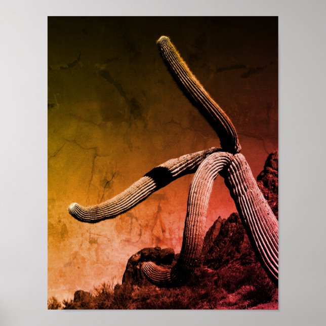 Saguaro Cactus: Fotografía de arte en estilo rústi (Frente)