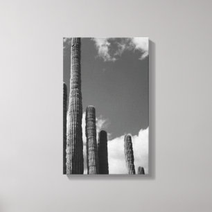 Saguaro Cactus Pipes Desert B&W Foto de arte Impri