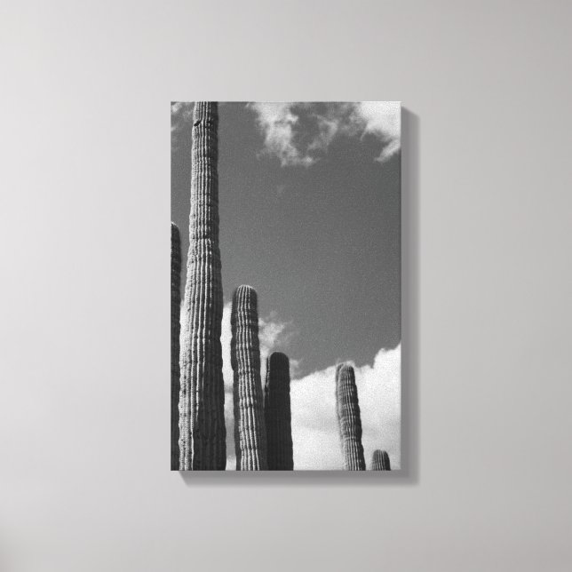 Saguaro Cactus Pipes Desert B&W Foto de arte Impri (Anverso)