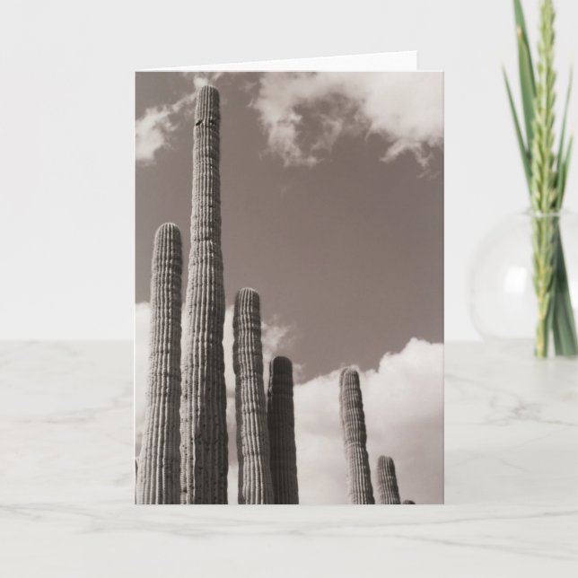 Saguaro Cactus Pipes Tarjeta de saludo de fotos de (Anverso)