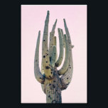 Saguaro Cout | Impresión fotográfica<br><div class="desc">Fotografía original recortada de un cactus saguaro sobre un fondo rosado texturado. Foto tomada en el desierto de Arizona. Si desea cambiar el tamaño de la impresión,  asegúrese de hacer clic en "Personalizar" y cambiar el tamaño de la imagen para eliminar cualquier espacio blanco no deseado.</div>