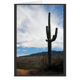 "Saguaro Vista"