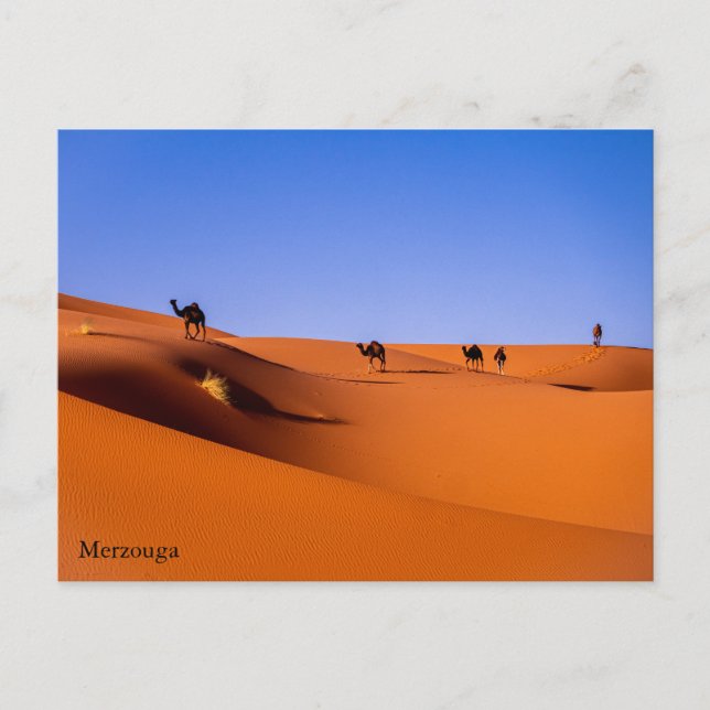 Sahara Merzouga en la tarjeta postal de la madruga (Anverso)