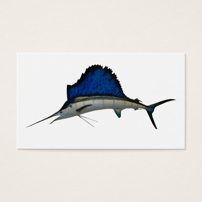 Sailfish (Frente)