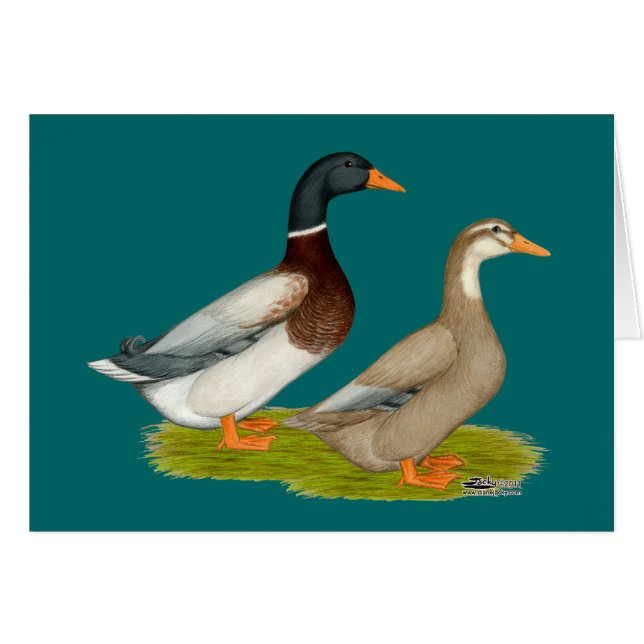 Sajonia Ducks (Anverso (Horizontal))