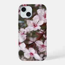 Sakura de primavera